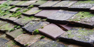 Flatford roof repair costs